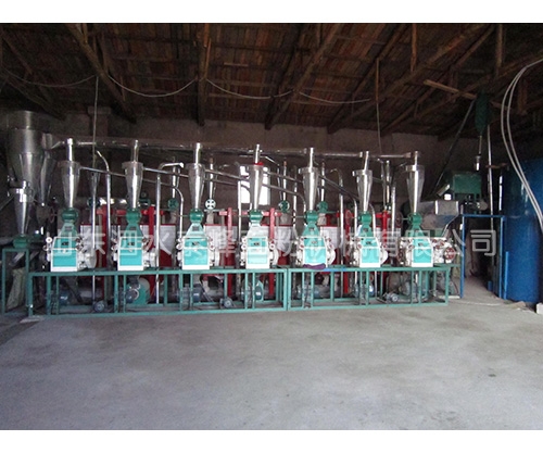 日產40噸面粉加工成套設備